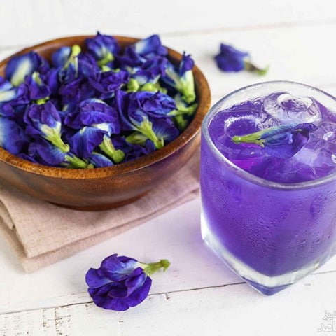 خرید و قیمت دارو گیاهی بنفشه + فروش صادراتی